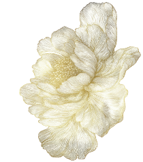 Peonie Tinta Del Alma_Tatouage Alsace